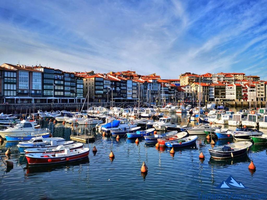 Coqueto Apartamento En El Casco Viejo Lekeitio Luaran gambar
